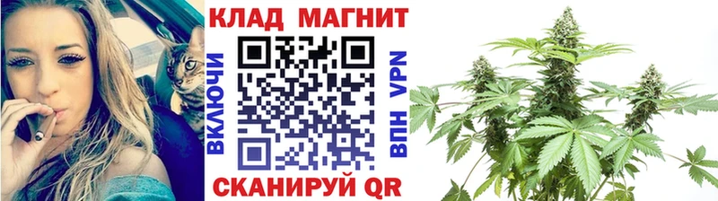 Где купить наркоту Сургут Галлюциногенные грибы  Канабис  Кокаин  Alpha PVP 