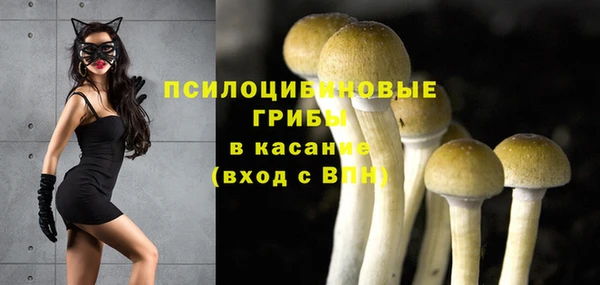 мдпв Вязники