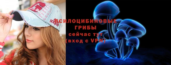 мдпв Вязники