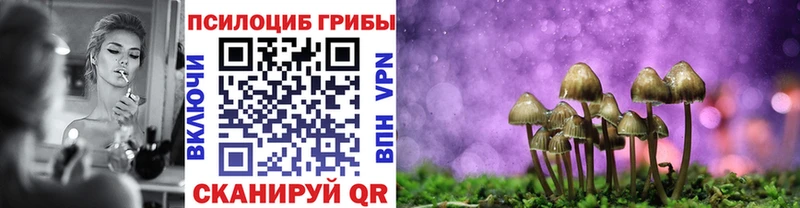 Галлюциногенные грибы Psilocybine cubensis  гидра зеркало  Сургут  цены наркотик 