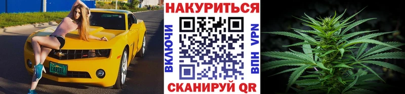 Марихуана семена  Сургут 
